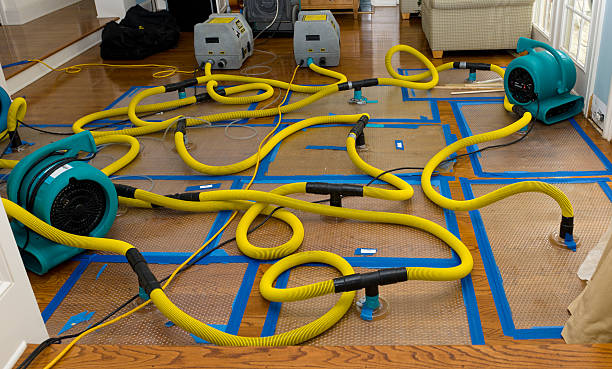 Professional Water Damage Repair technician working in Grand Junction, TN